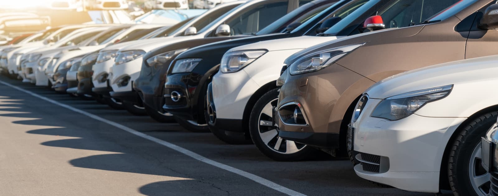 Used cars at the dealership