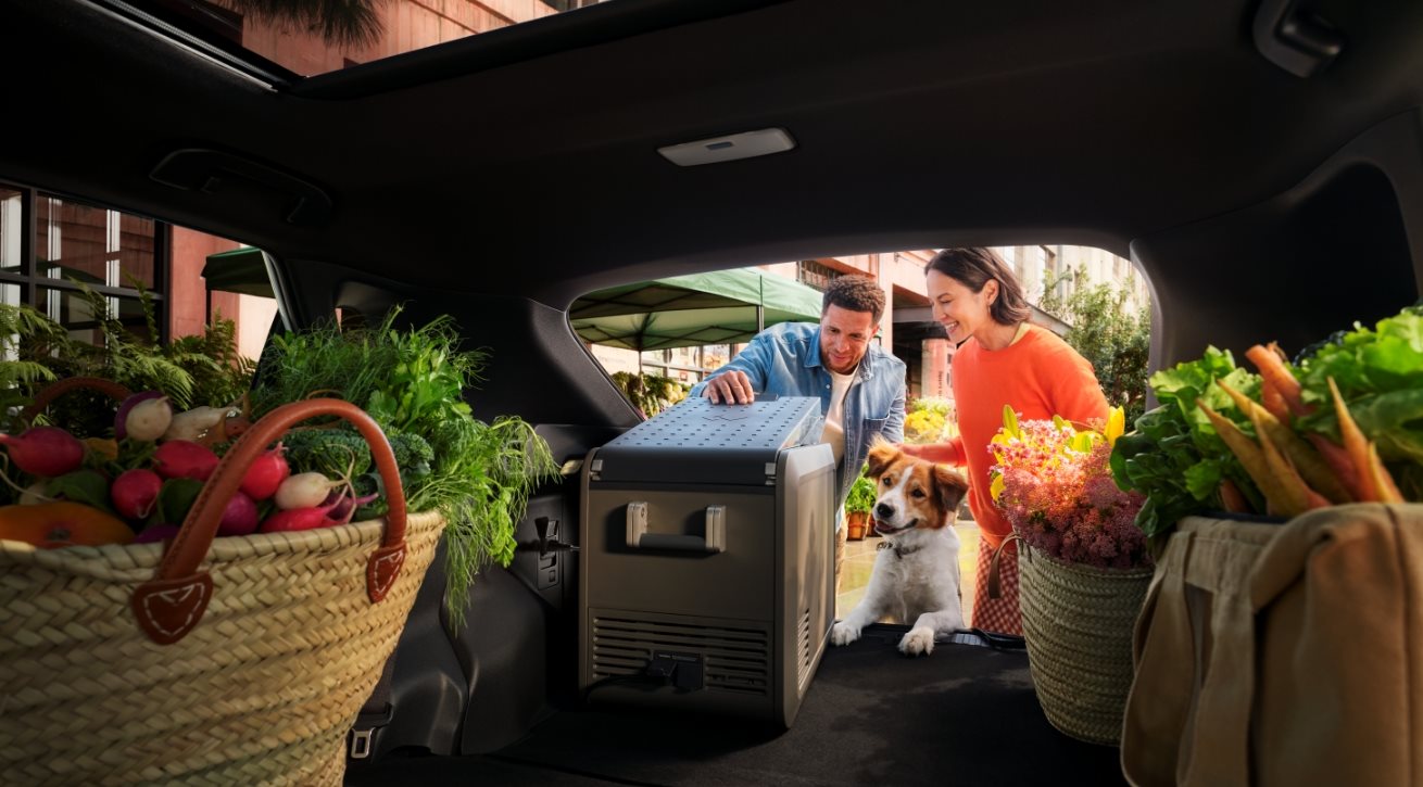 New Toyota bZ in Lexington Park MD