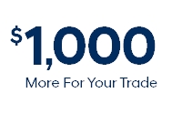 Trade Assistance