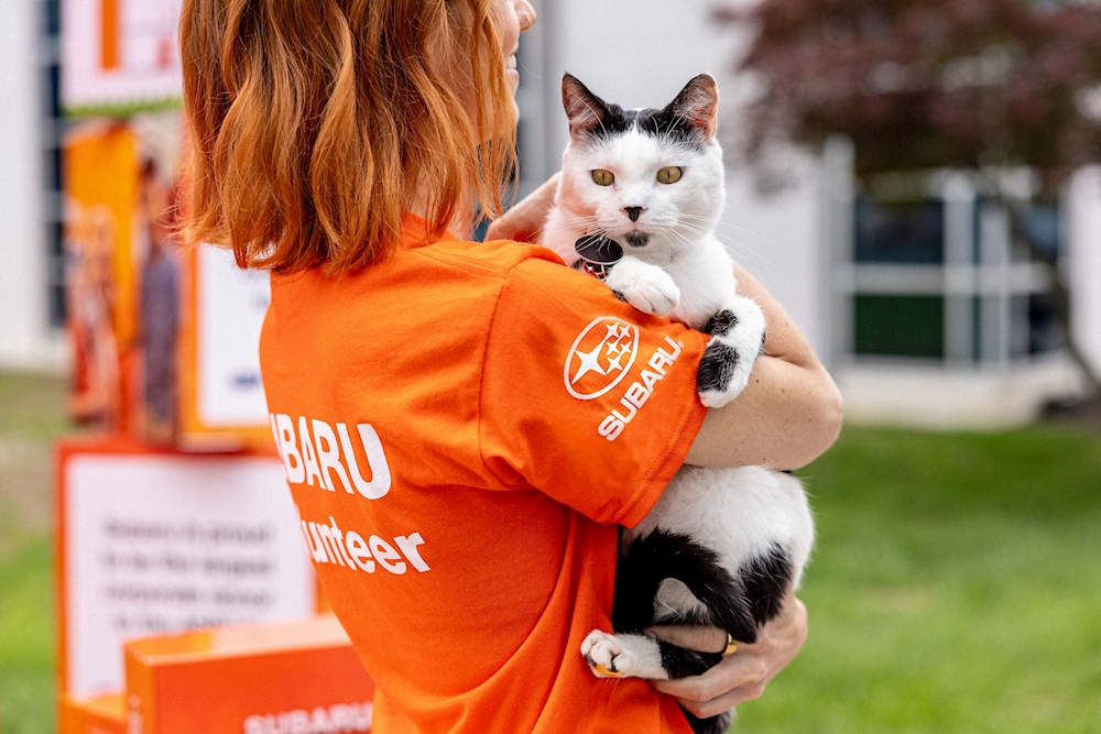 Subaru Loves Pets adoption event in Sandy Utah