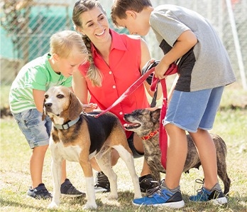 Pre-Owned Cars Cumming Cumming GA