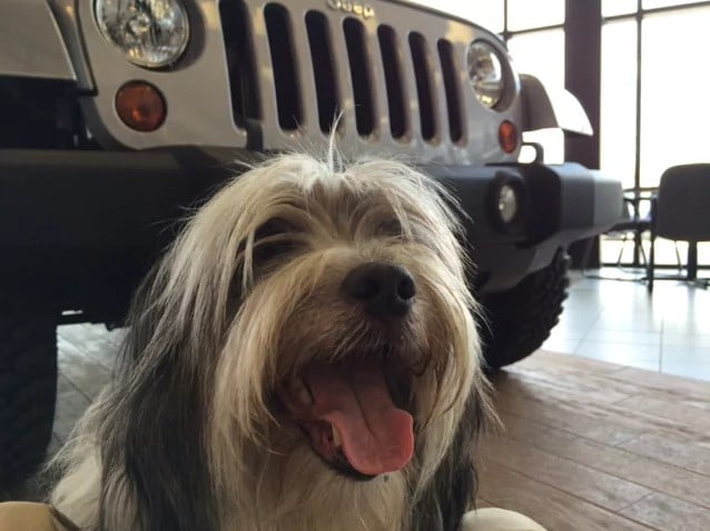 Planet Chrysler Jeep Dodge RAM Franklin MA