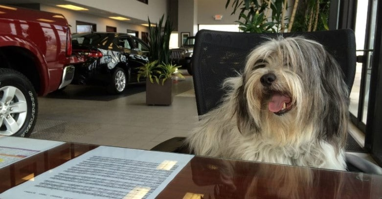 Planet Chrysler Jeep Dodge RAM Franklin MA