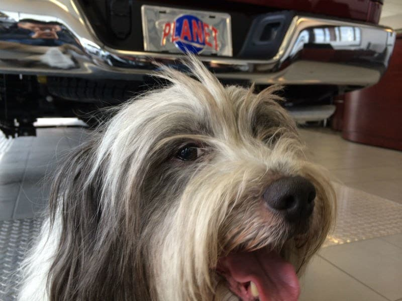 Planet Chrysler Jeep Dodge RAM Franklin MA