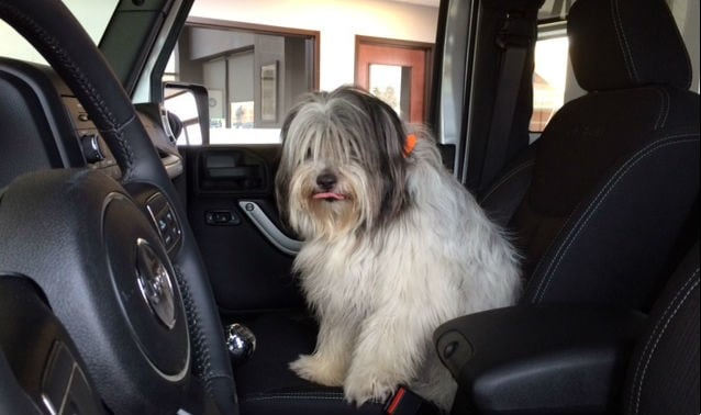 Planet Chrysler Jeep Dodge RAM Franklin MA