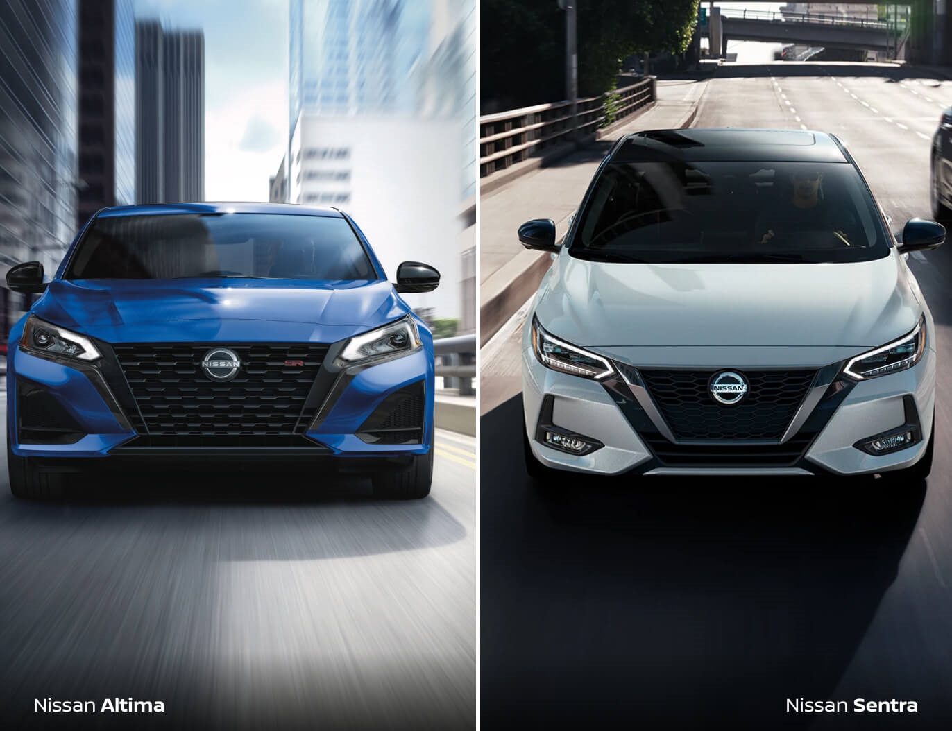 Nissan Altima vs. Nissan Sentra Specs