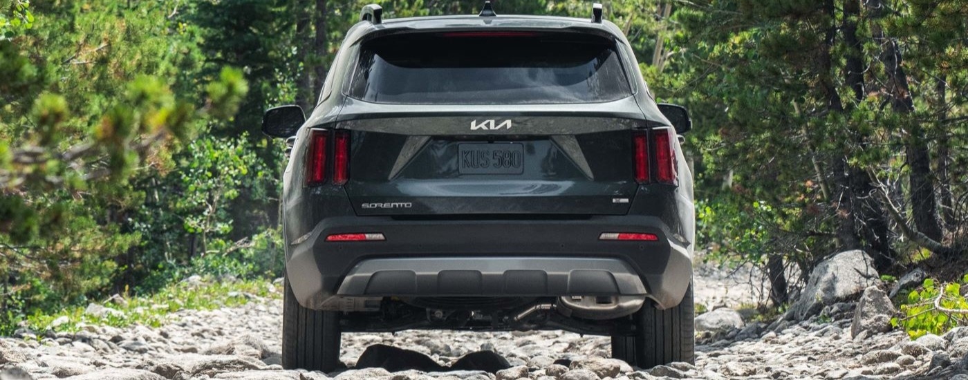Rear of a black 2024 Kia Sorento X driving off-road.