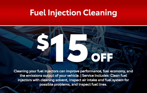Fuel Injection Cleaning