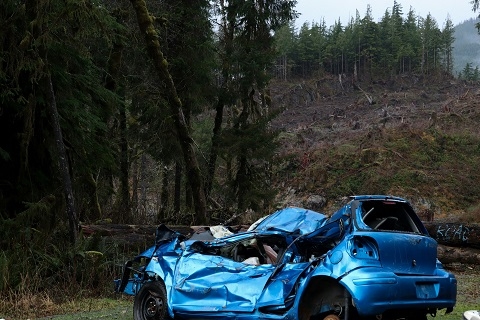 a wrecked car in a field