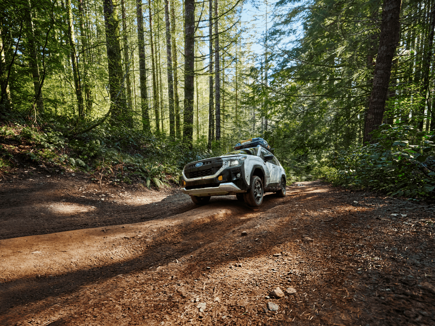 2026 Subaru Forester Wilderness Edition Preview