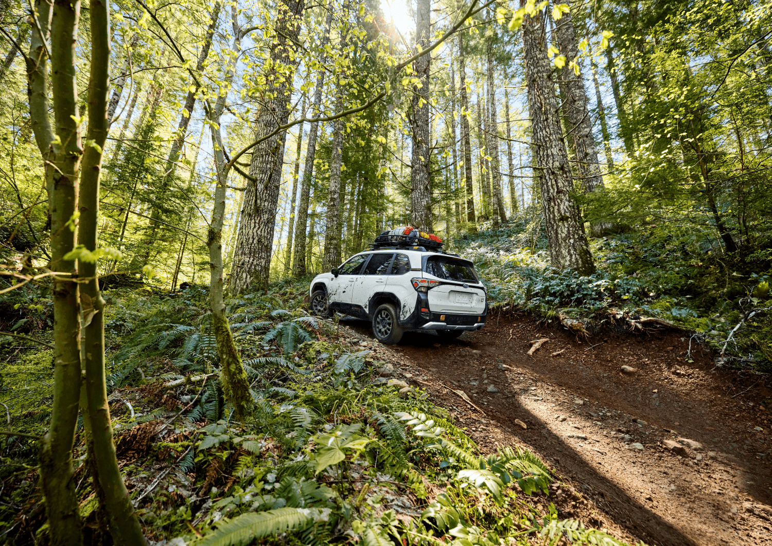 Engineered for Off-Road Confidence