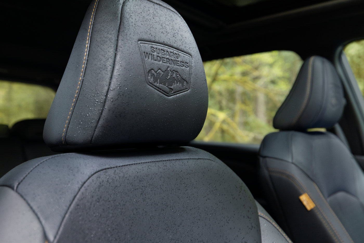 Interior Innovation and Comfort