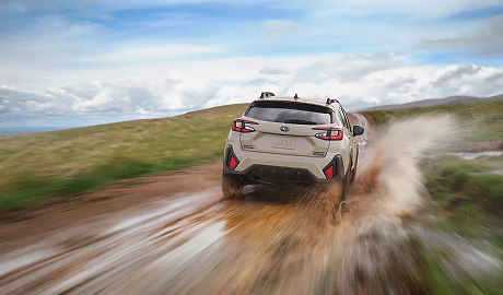 Capability and Efficiency