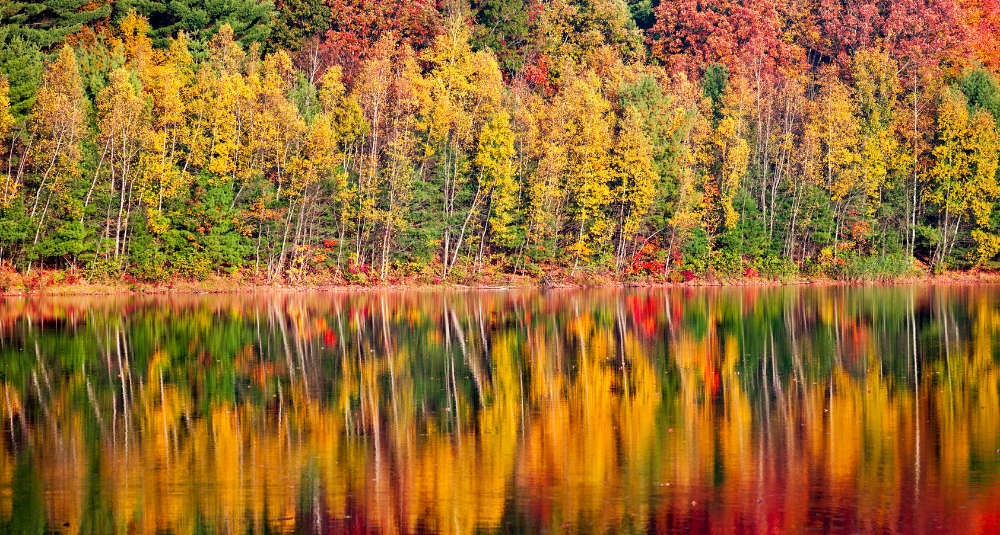 Fall foliage around Albany NY