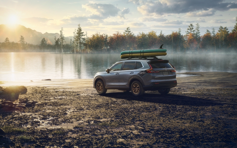 Acerca de los cambios de aceite