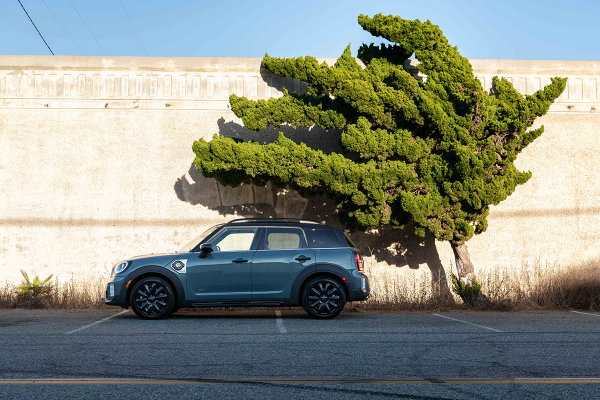 South Bay MINI Torrance CA