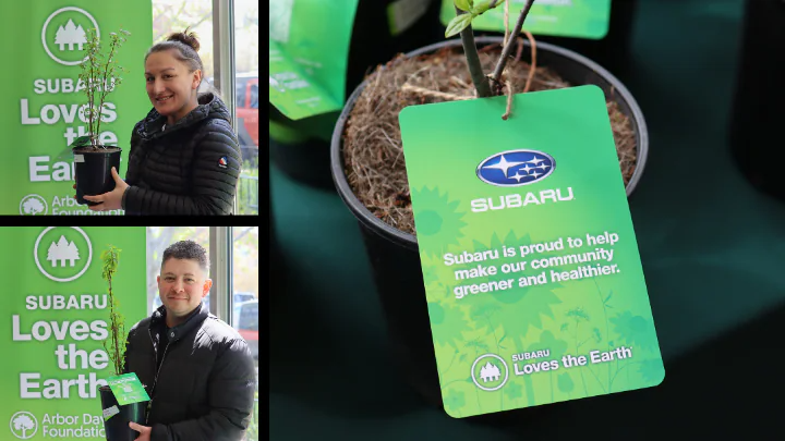 Berman Subaru of Chicago Chicago IL