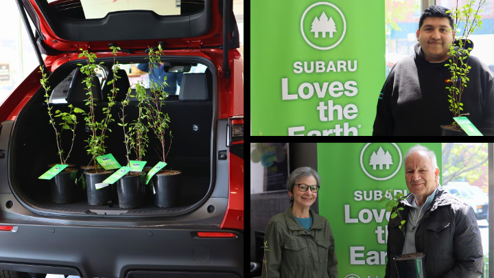 Berman Subaru of Chicago Chicago IL