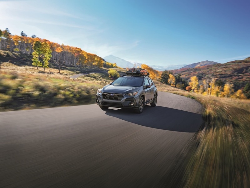 About Our Rental Cars