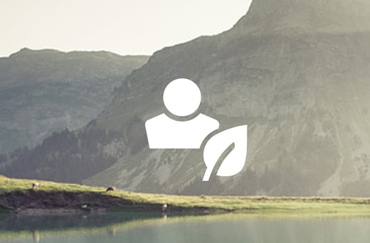 Ed Hicks Imports CORPUS CHRISTI TX