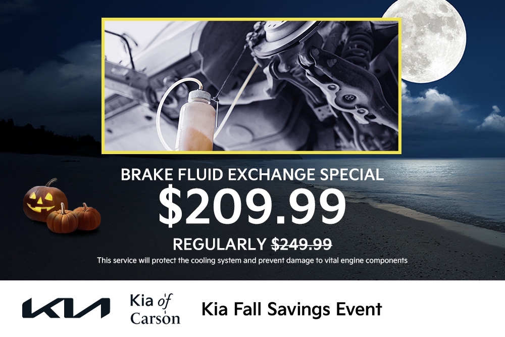 Brake Fluid Exchange