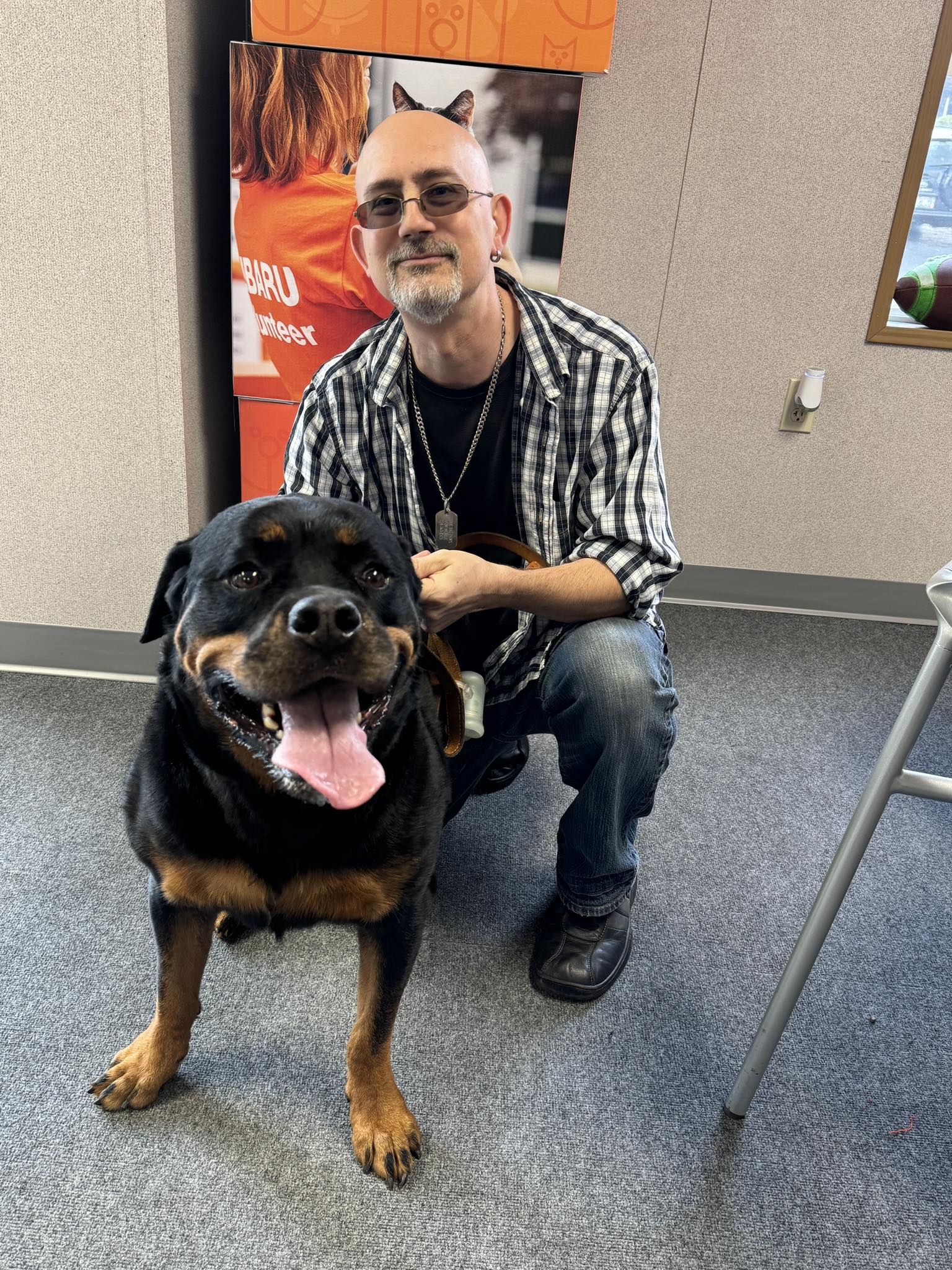 Man kneeling with happy Rottweiler looking for a forever home at Castle Subaru McHenry.