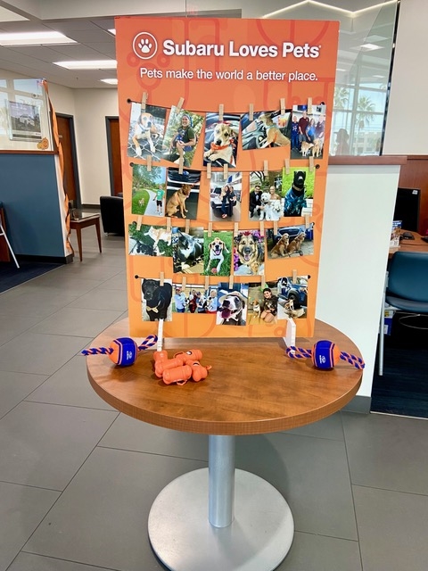 Pets make the world a better place