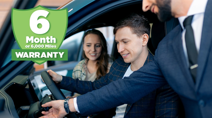 Winner 6 Months Certified