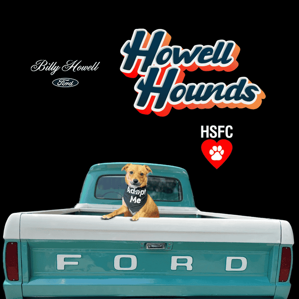 Billy Howell Ford Cumming GA