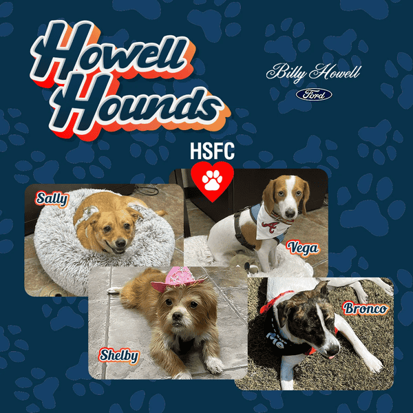 Billy Howell Ford Cumming GA