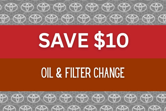 Oil & Filter Change