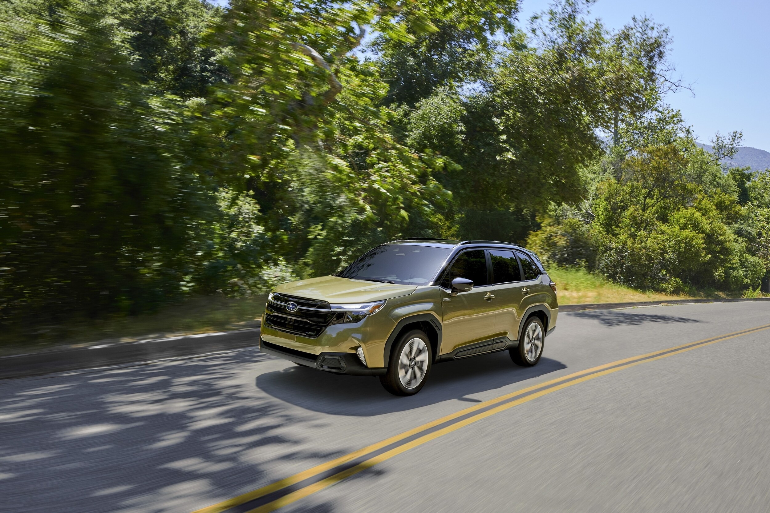 Fairfield Subaru Fairfield CA