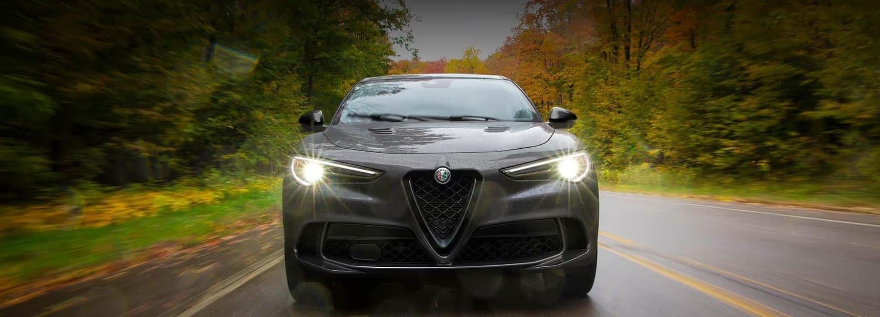 Alfa Romeo St. Petersburg Pinellas Park FL