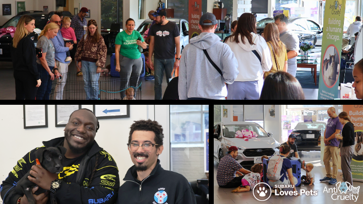 Berman Subaru of Chicago Chicago IL