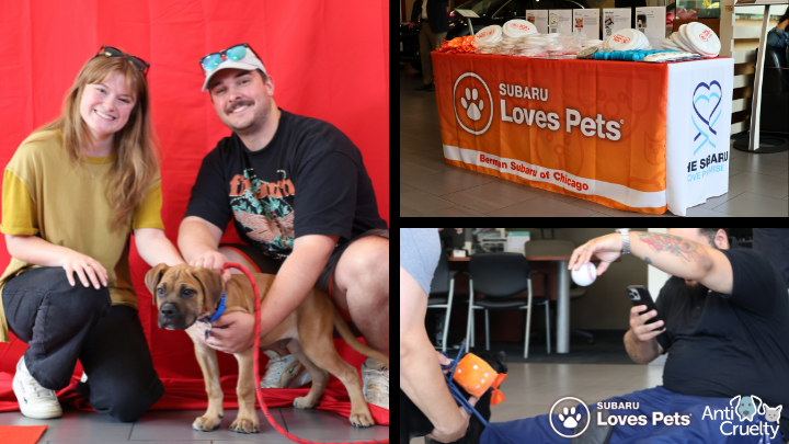 Berman Subaru of Chicago Chicago IL