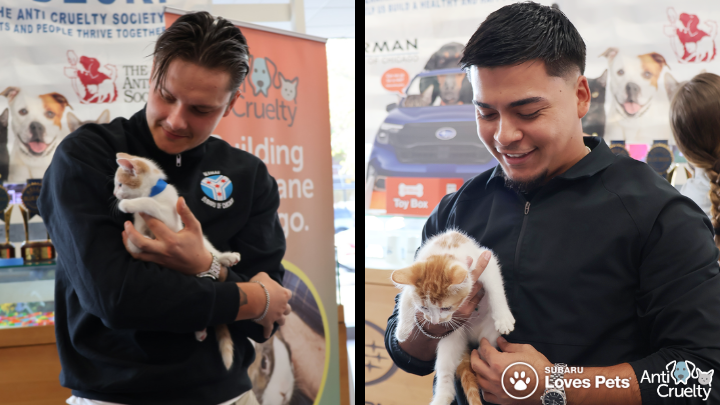 Berman Subaru of Chicago Chicago IL