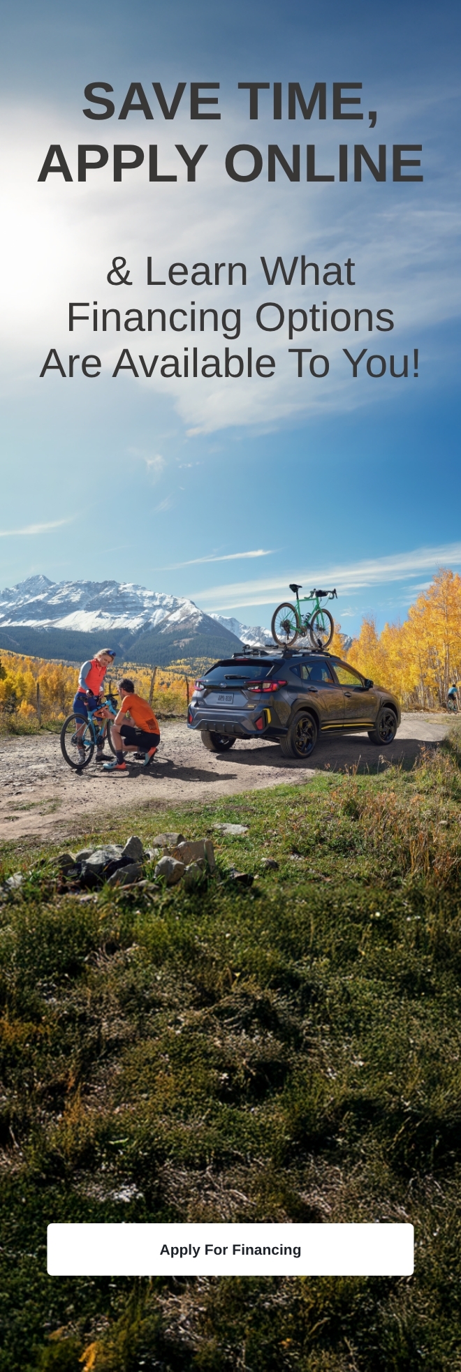 NEWSRP2_GetFinancing