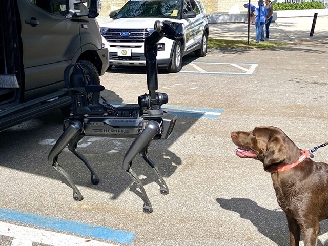 Robo Dog with Real Dog at GoldenFest 2024