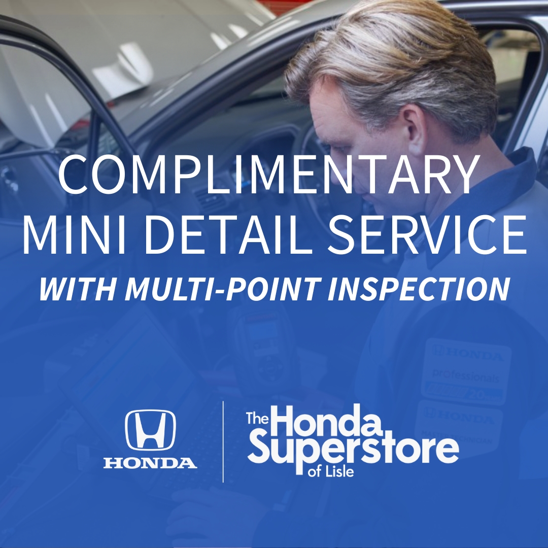 Mini Detail & Inspection