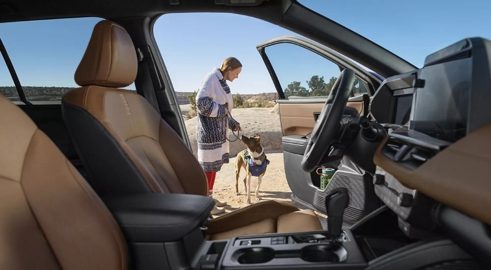 Dog on a leash near a 2026 Subaru Outback