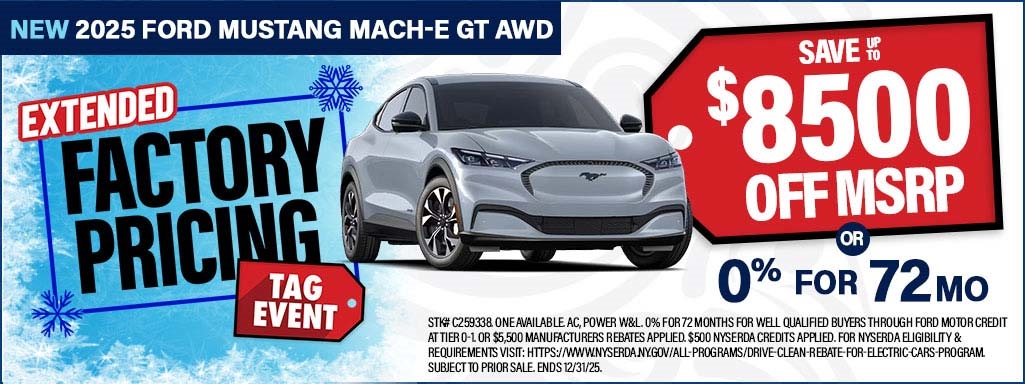 11_MachE_FactoryPricing