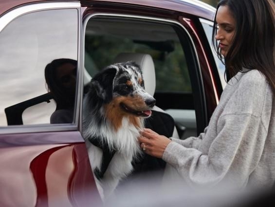 Patterson Autos Tustin CA