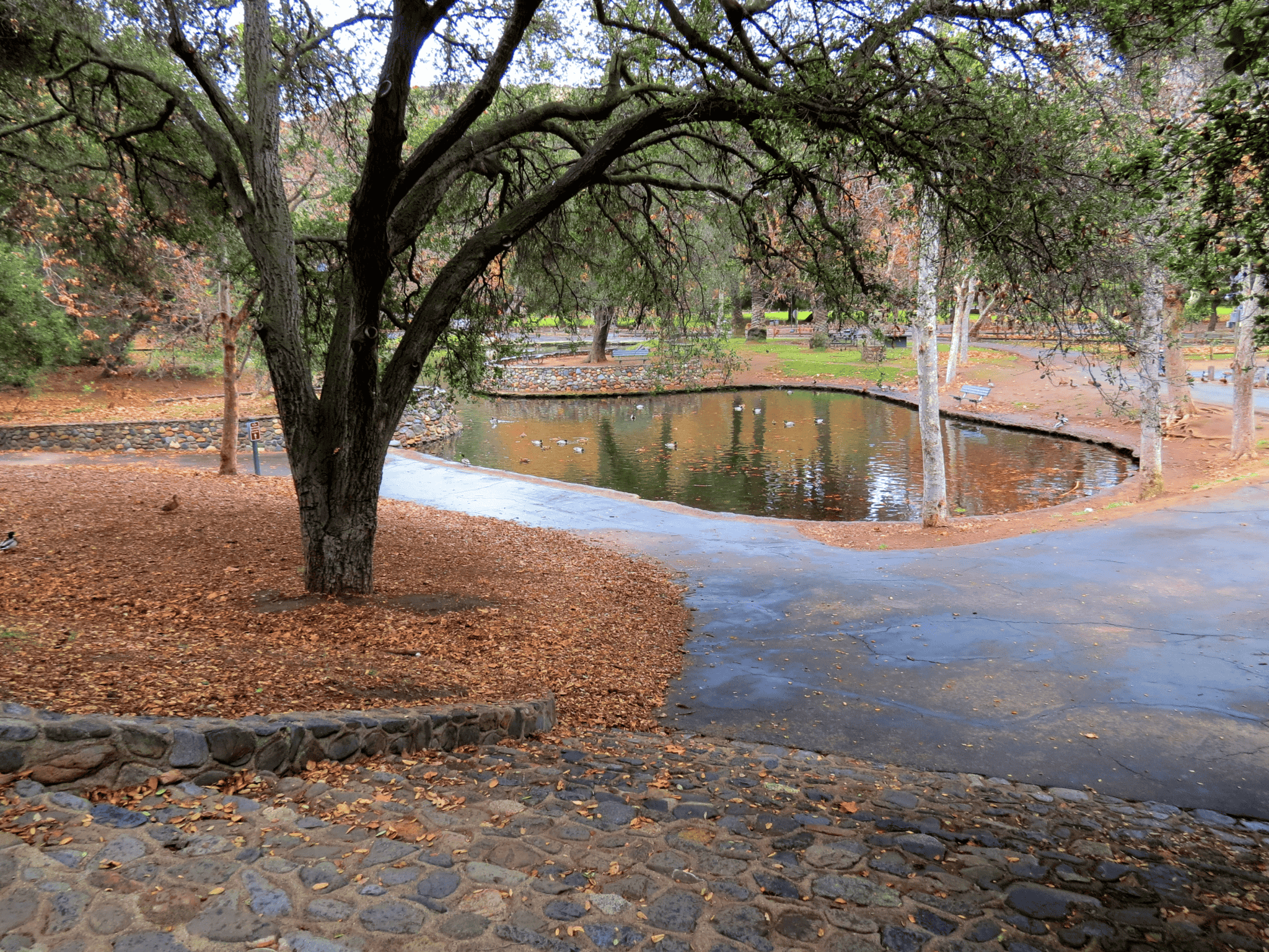 Tustin Auto Center Tustin CA