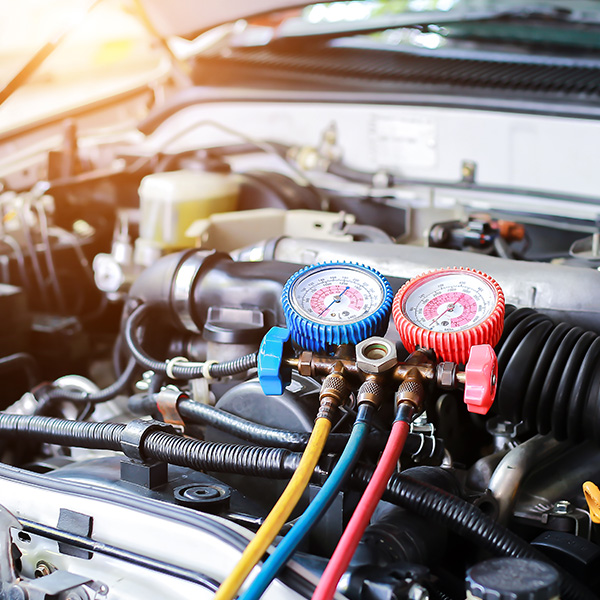 Tenvoorde Ford Inc Saint Cloud MN