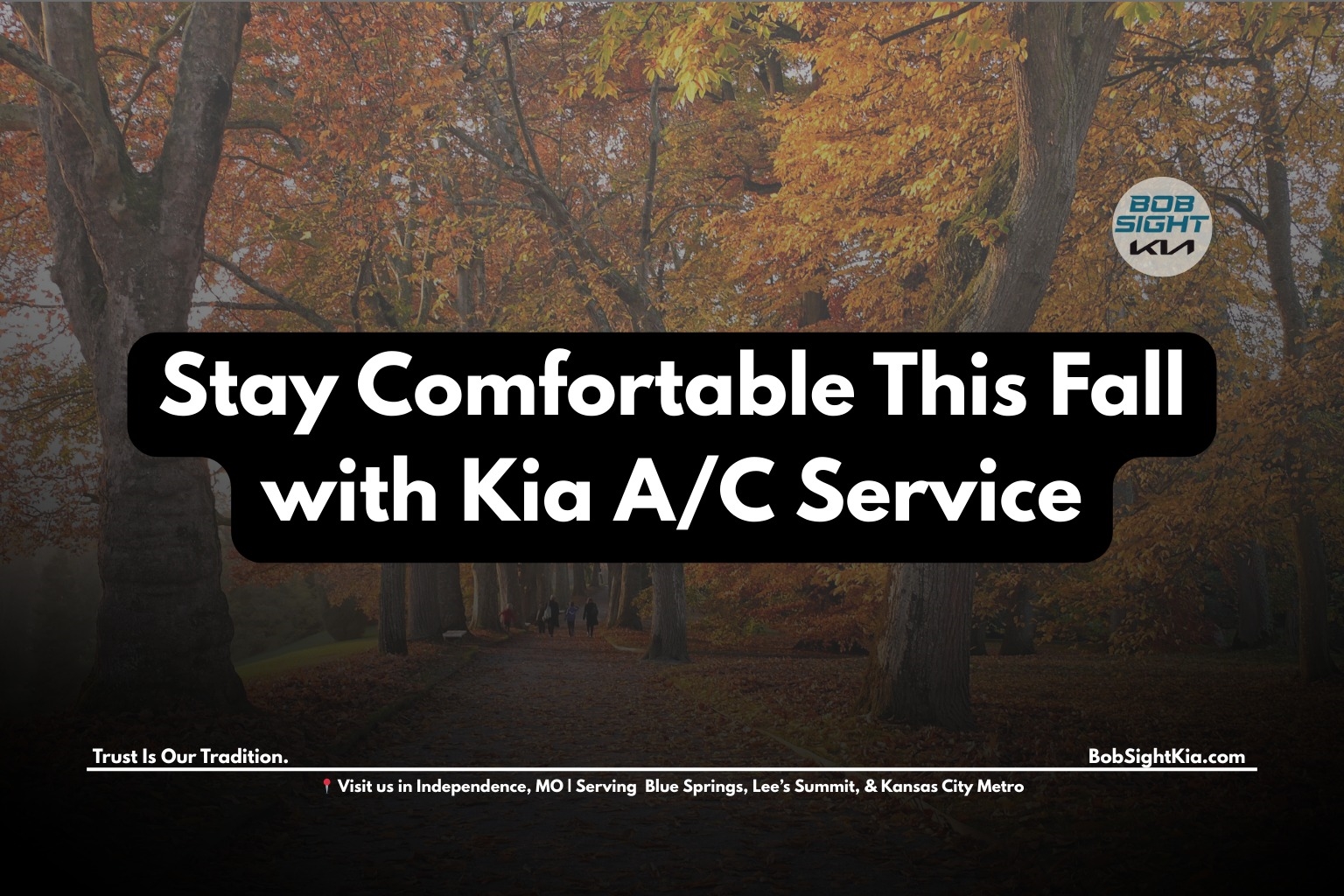 Bob Sight Independence Kia Independence MO