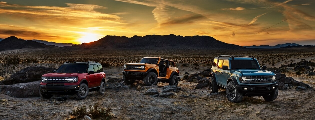 Ford Pre-Order Process