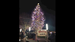 2025 Spirit of Gresham Tree Lighting