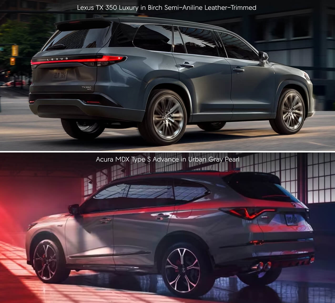 Acura MDX Vs. Lexus TX Model Comparison, image size:1406x1270
