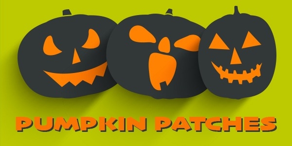 Feldmann Imports Mercedes-Benz Bloomington MN