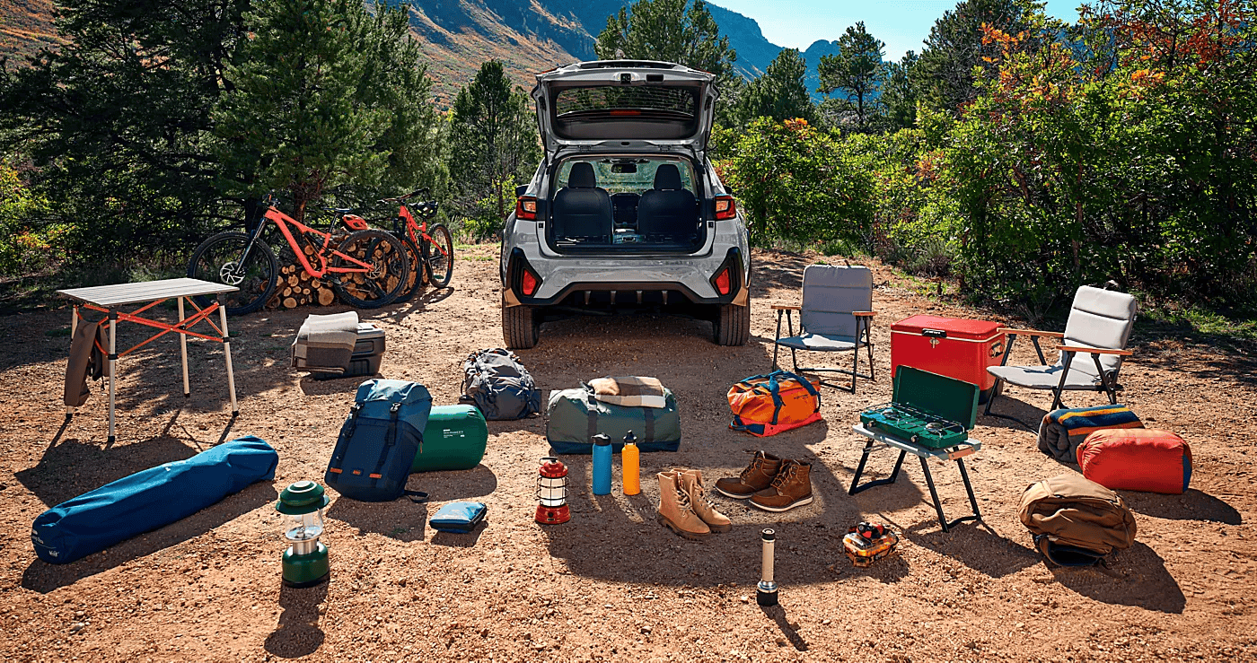 Spacious Cargo Area and Wide Rear Gate